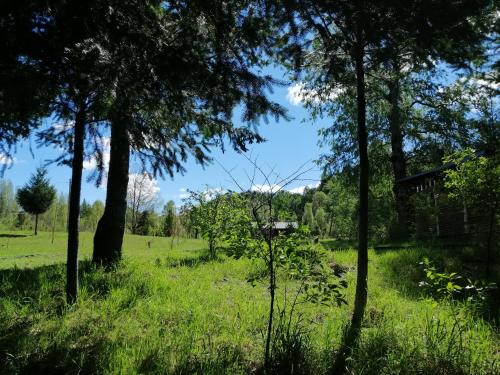 Φυσικό τοπίο κοντά σε αυτή η παραθεριστική κατοικία