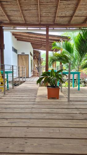 a wooden boardwalk with two plants on it at Eco del Mar in La Libertad