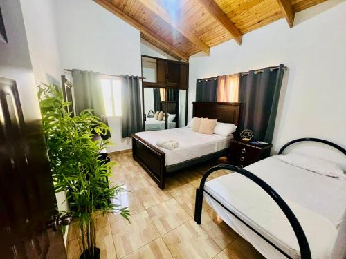 a bedroom with two beds and two potted plants at Brisas de las Montañas in Jarabacoa
