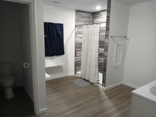 a bathroom with a shower and a toilet at Branson House Bed & Breakfast in Marion