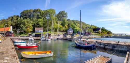 a group of boats are docked in a harbor at Apple Blossom Studio - near Rønne and Beach in Rønne