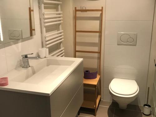 a bathroom with a sink and a toilet at Chalet rénové pour 10 pers. avec Parking proche Super Besse - FR-1-814-102 in Besse-et-Saint-Anastaise