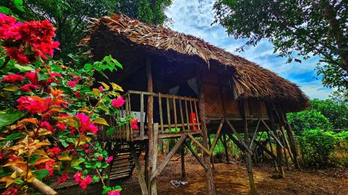 Gallery image of Cat Tien Eco Lodge in Tân Phú