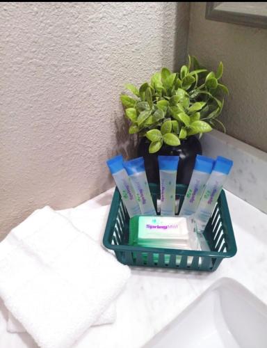 a tray of toothbrushes and a plant on a sink at Sequoia Eagle Nest in Three Rivers