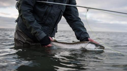 a man is holding a fish in the water at Apple Blossom Studio - near Rønne and Beach in Rønne