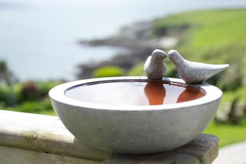Foto dalla galleria di Driftwood B&B a Porthscatho
