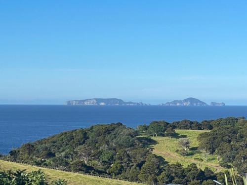 a view of the ocean from a hill with trees at Ocean Vista Tutukaka in Tutukaka