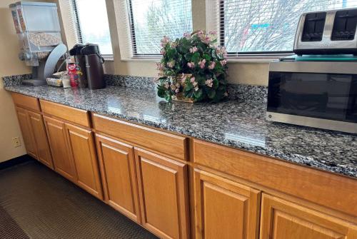 a kitchen counter with a microwave and a plant on it at Super 8 by Wyndham Du Quoin in Du Quoin