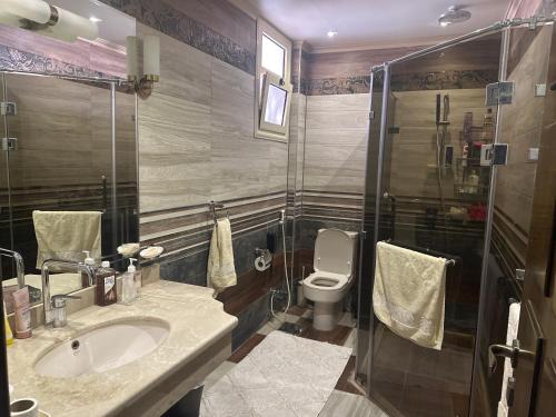a bathroom with a toilet and a sink and a shower at room inside villa in Cairo