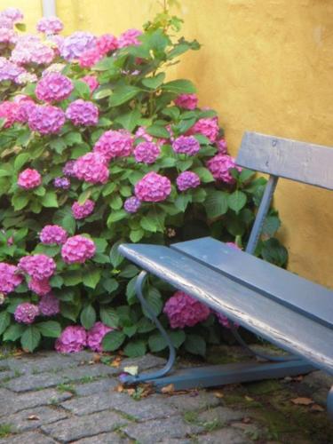 a bench sitting next to a bush of pink flowers at Apple Blossom Studio - near Rønne and Beach in Rønne