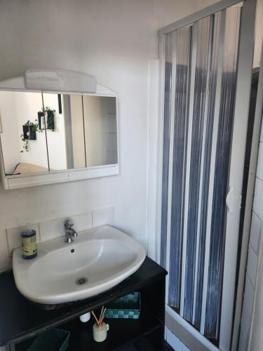 een badkamer met een wastafel en een spiegel en een douche bij Laelia place Rivotte in Besançon