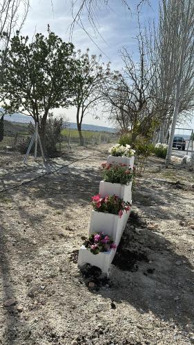 Φυσικό τοπίο κοντά σε αυτό το διαμέρισμα