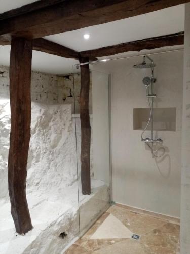 La salle de bains est pourvue d'une douche en verre et d'un mur en pierre. dans l'établissement Les Volets Bleus, family cottage, à Crégols
