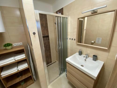 Koupelna v ubytování Apartmán Nezábudka