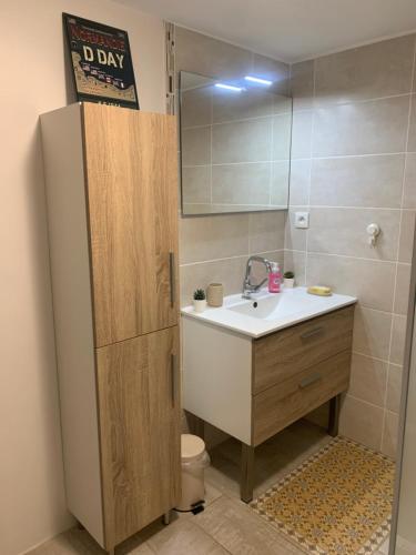 une salle de bain avec un lavabo et un miroir dans l'établissement Havre de Paix, à Villeneuve-sur-Lot