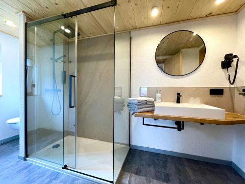 a bathroom with a glass shower and a sink at Haus am Berg - Pension direkt am Skihang in Kurort Oberwiesenthal