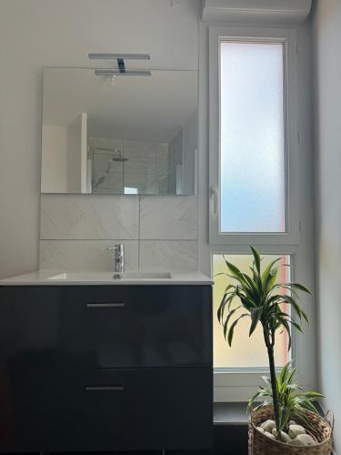 La salle de bains est pourvue d'un lavabo, d'un miroir et d'une plante en pot. dans l'établissement Appartement cozy proche du centre Terrasse,Parking, à Montpellier
