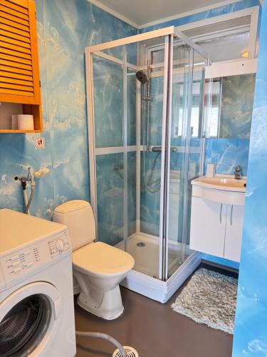 a bathroom with a shower and a toilet and a washing machine at beautiful apartment in nature in Oldervik