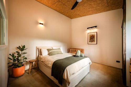 a bedroom with a bed and a potted plant at Off-Grid Eco Cabin in Bellingen