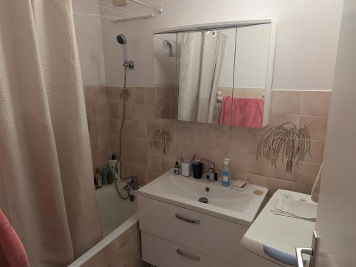 une salle de bain avec un lavabo et un rideau de douche dans l'établissement Ma Bourgogne grand 3 pièces avec balcons plein sud, parking interieur, à Dijon