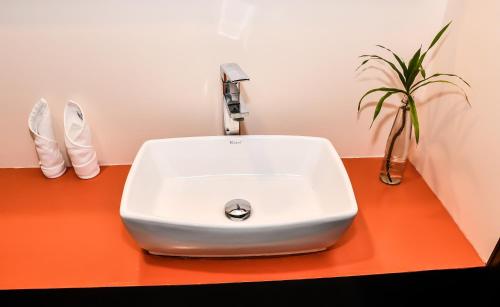 a white sink in a bathroom with a plant at The Beehive in Male City