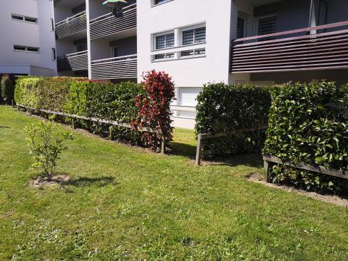 une clôture dans une cour à côté d'un bâtiment dans l'établissement Appartement T2 Vannes, à Vannes