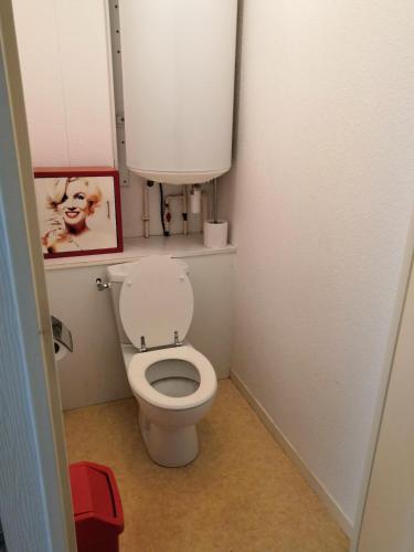 d'une salle de bains avec des toilettes et une photo d'un chien. dans l'établissement Appartement T2 Vannes, à Vannes