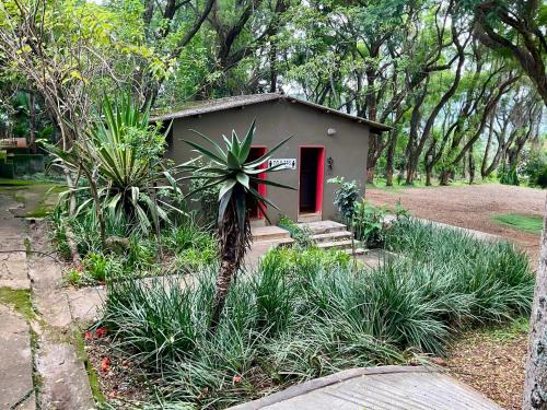 Afbeelding uit fotogalerij van Legends SHARED in Lobamba