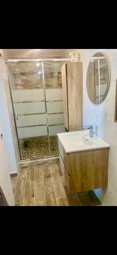 une salle de bain avec douche et lavabo dans l'établissement Charmant appartement T2 entre Aix en Provence et Marseille avec, à Marignane
