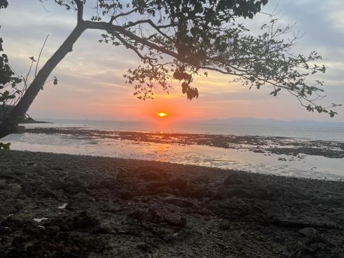 a sunset over the water with a tree in the foreground at Island Life Bungalows in Ko Khan