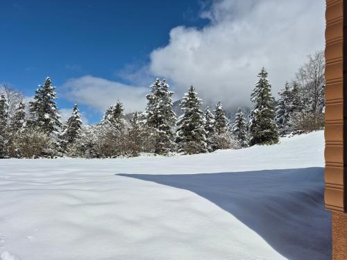Kaya Palace om vinteren