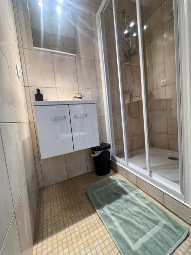 une salle de bain avec une douche avec un lavabo et un miroir dans l'établissement Chez Gala, à Collioure