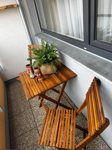 a table and two benches on a porch with a plant at Bali byt s parkovacím místem v centru města in České Budějovice