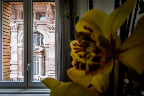 a close up of a yellow flower in front of a window at Genoa Lux Apartments with parking in Genova