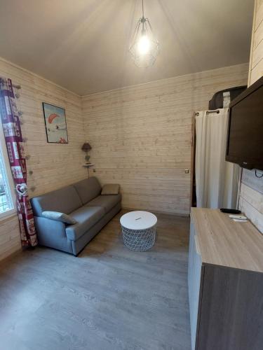 un salon avec un canapé et une télévision dans l'établissement Charmant appartement - Le Mont Dore, à Le Mont-Dore
