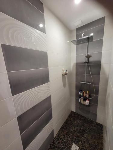 La salle de bains est pourvue d'une douche avec des rayures blanches et grises. dans l'établissement Maison récente 200m2 proche du circuit du Mans au calme, à Changé