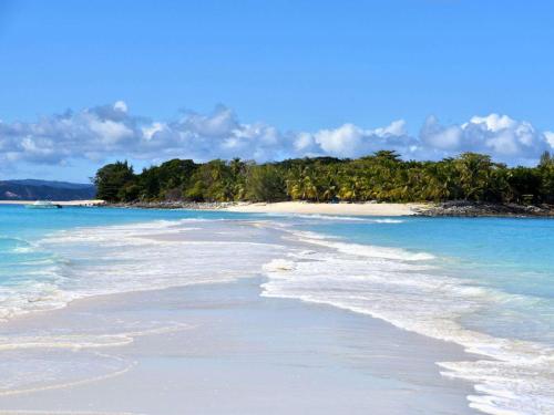 una playa con agua azul y árboles en el fondo en SummerDreams, en Nosy Be