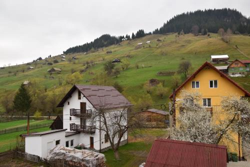 a group of houses on a hill with a field at Vila Moecel in Moieciu de Sus