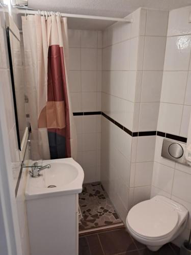 une salle de bain avec toilettes et lavabo dans l'établissement STUDIO 1 personne dans le centre historique, au Puy-en-Velay