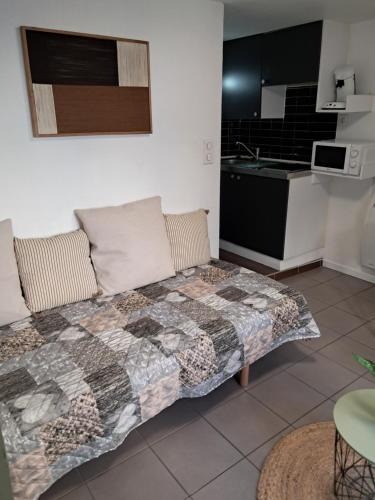 un salon avec un canapé et une cuisine dans l'établissement STUDIO 1 personne dans le centre historique, au Puy-en-Velay