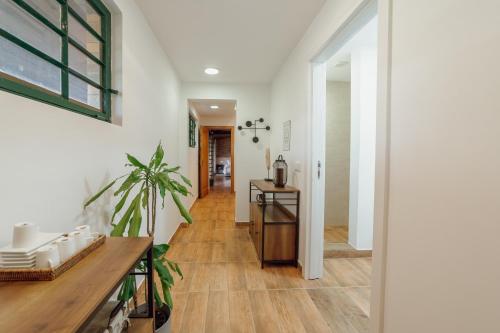 a hallway with white walls and wood flooring and a plant at Quinta Verde Esperança in Vila Nova de Gaia