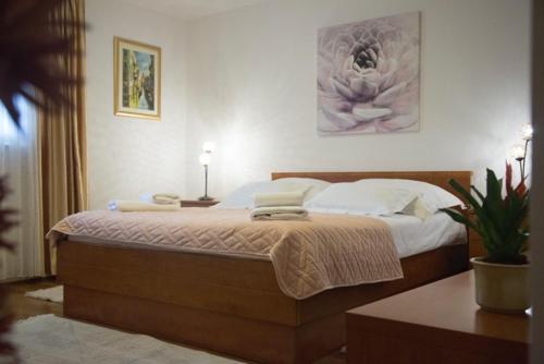 Tiha apartment