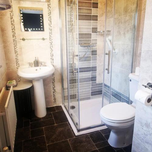 a bathroom with a toilet and a sink and a shower at Church View House F56H977 in Gorteen