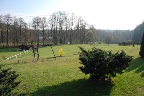 a large field with a tree and a goal at Natura Apartamenty in Swaderki