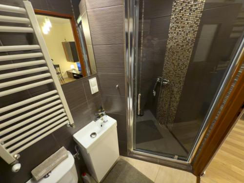 a bathroom with a shower and a toilet and a sink at Mały Domek na Starówce in Konin