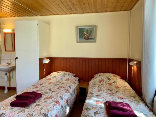 a bedroom with two beds and a sink at Skagagården in Undenäs