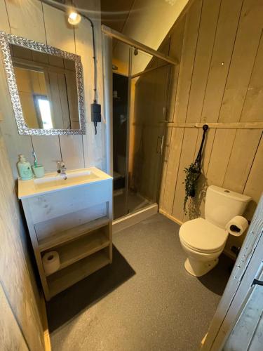 a bathroom with a toilet and a sink and a shower at Luxe Safaritent in Grou in Grou