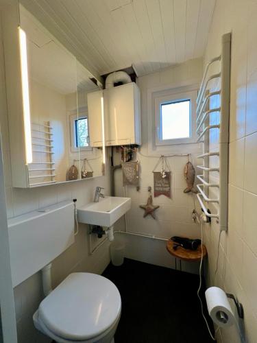 a bathroom with a white toilet and a sink at freistehendes Ferienhaus in Strandnähe, Eureka 18 - Strandbude in Sint Maartensvlotbrug