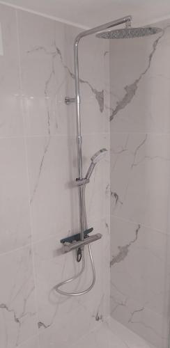 La salle de bains est pourvue d'une douche et d'une paroi en verre. dans l'établissement Joli petit pavillon climatisé 50 m de la mer, à Saint Pierre La Mer