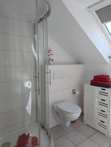 a bathroom with a toilet and a glass shower at Appart-Hotel Harmonie in Winterberg